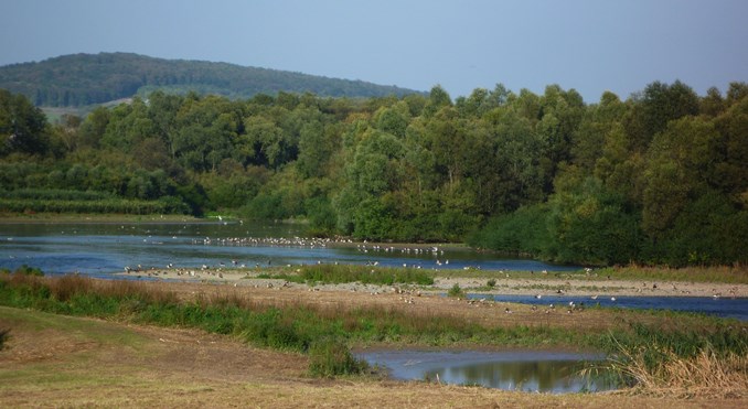 Leinetal bei Einbeck