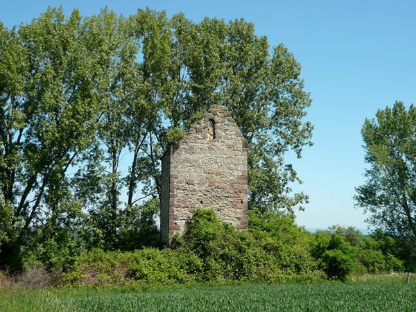Museturm bei Holzerode