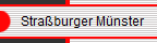    Straburger Mnster