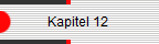            Kapitel 12