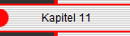             Kapitel 11