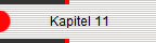             Kapitel 11