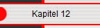             Kapitel 12