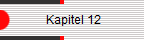             Kapitel 12