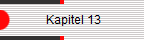             Kapitel 13