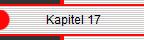             Kapitel 17