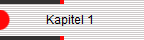             Kapitel 1