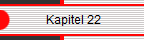             Kapitel 22